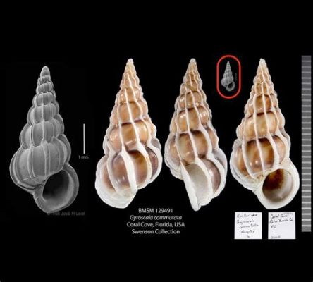   Wentletrap! A Tiny Mollusc With Exquisite Shell Patterns That Can Navigate Underwater Currents Like a Skilled Surfer